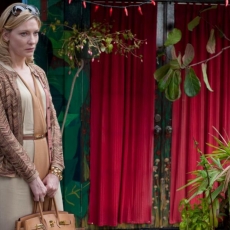 Blue Jasmine (2013) Directed by Woody Allen - Movie Review
