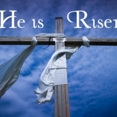 Weekly Bulletin April 21st