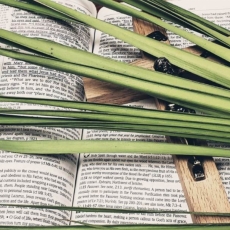 Just as He is: Perfect / John 12; Philippians 2; Deuteronomy 32 / Pr. Lucas Andre Albrecht / Sunday, April 10th / Palm Sunday