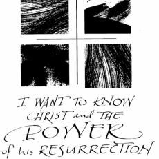 Weekly Bulletin April 7th