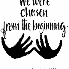 Weekly Bulletin July 11th