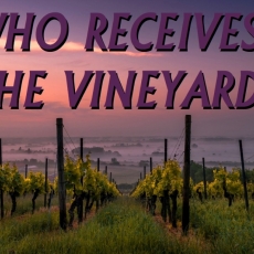 “Who Receives the Vineyard?” Sermon / Luke20:9-20 / Pr. Ted A. Giese / Sunday April 7th 2019 / Season Of Lent / Mount Olive Lutheran Church