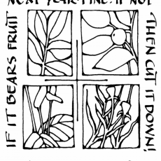 Weekly Bulletin March 24th