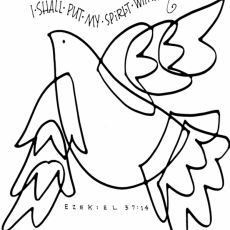 Weekly Bulletin May 23rd