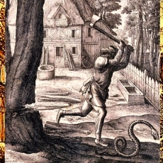 “The Axe and the Viper” Mount Olive Lutheran Church Season of Advent Sermon December 8, 2024 – Luke 3:1–20