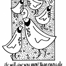 Weekly Bulletin August 1st