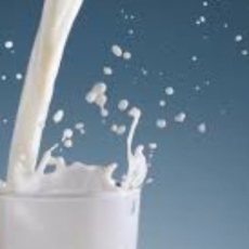 "Nahrung" / 1 Petrus 2, Johannes 6 / Pr. Lucas A. Albrecht /GERMAN Service, Saturday September 28th 2019 / Season Of Pentecost / MOLC