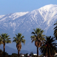 "Prayerful, Persistent and Prepared" Sermon / Sunday Lessons (Luke 18, Psalm 121, Genesis 32, 2Timothy 3)/ Pr. Lucas Andre Albrecht / Sunday October 20th 2019 / Season Of Pentecost / Mount Olive Lutheran Church