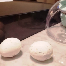 Preventing the fire / Luke 16:19-31 / Pr. Lucas Andre Albrecht / Sunday September 25th, 2022 / Season of Pentecost / Mount Olive Lutheran Church