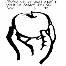 Weekly Bulletin February 26th - The First Sunday in Lent