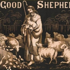 Jesus is our Good Shepherd / John 10:22–30 / Pr. Ted A. Giese / Sunday May 11th 2025 / Season of Easter / Mount Olive Lutheran Church