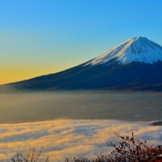 Many Paths or One: The Narrow Door / Luke 13:22–30 / Pr. Ted A. Giese / Sunday August 21st 2022 / Season of Pentecost / Mount Olive Lutheran Church