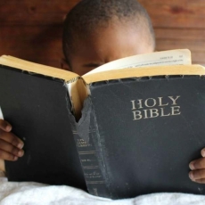 Encouraging with The Teaching, I /Sermon / Pr. Lucas Andre Albrecht / Sunday November 8th 2020 - / 1 Thessalonians 4:13-18