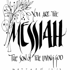 Weekly Bulletin Aug 23rd