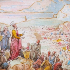 “The Lesson of Loaves and the Fish” Mount Olive Lutheran Church Season Of Pentecost Sunday Sermon July 21, 2024 – Mark 6:30-44